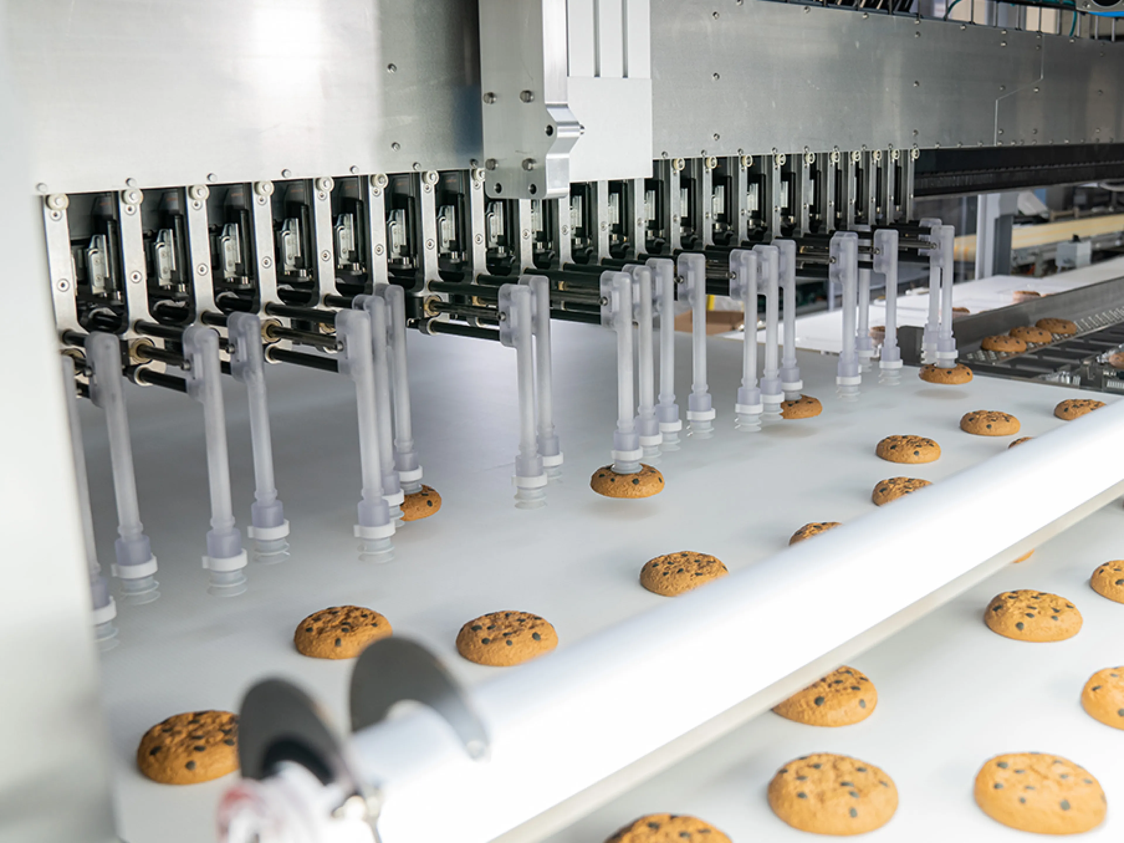 Um die jetzt entstehende Marktchance nutzen zu können, wird Automatisierung zum entscheidenden Wettbewerbsfaktor, Bild: Syntegon Um die jetzt entstehende Marktchance nutzen zu können, wird Automatisierung zum entscheidenden Wettbewerbsfaktor.