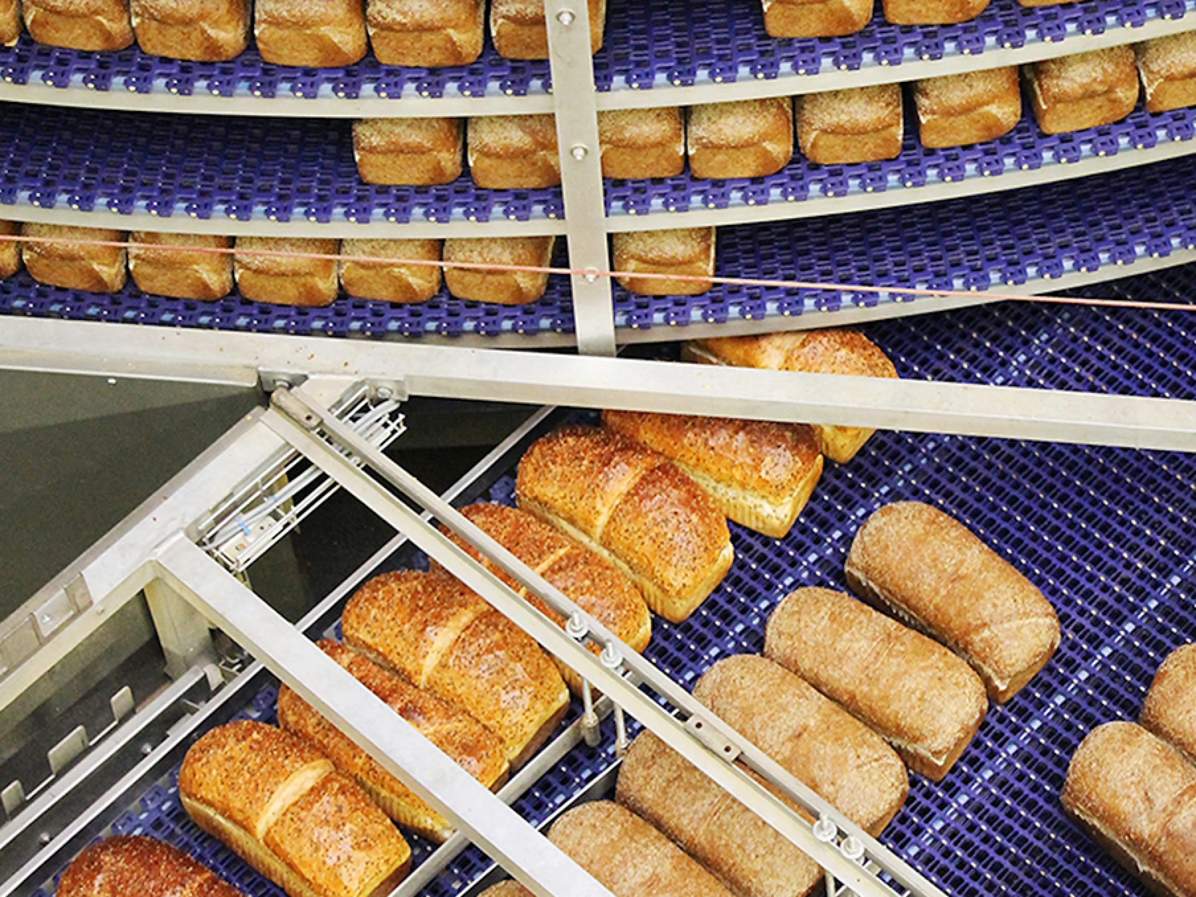 Transportband-Lösungen mit effizienten Reinigungsverfahren für die Backindustrie, Bild: Habasit Transportbänder von Habasit mit effizienten Reinigungsverfahren für die Backindustrie