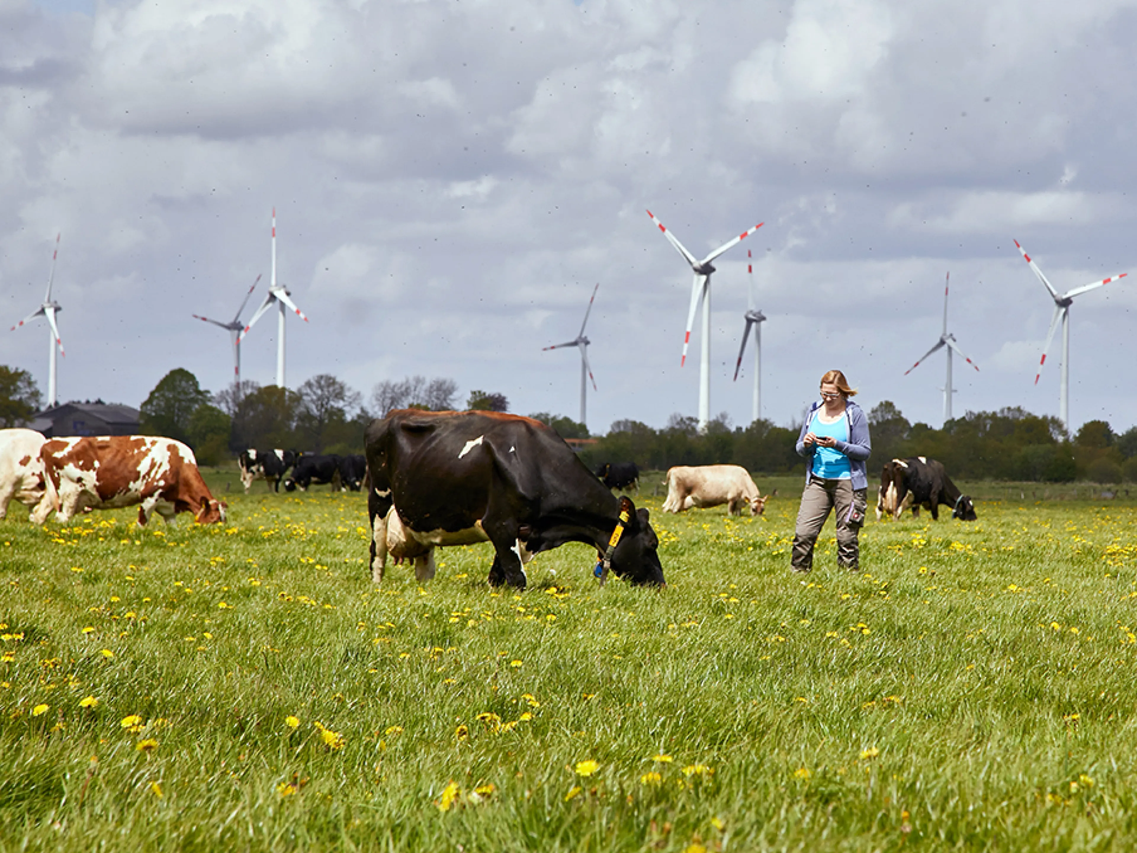 Die Molkereigenossenschaft Arla feiert 2025 ihr 25-jähriges Bestehen, Bild: Arla Die Molkereigenossenschaft Arla feiert 2025 ihr 25-jähriges Bestehen