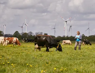 Arla Betrieb in Schleswig Holstein