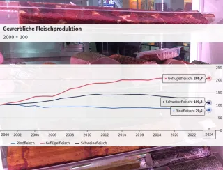 Die deutsche Fleischproduktion ist zum ersten Mal seit 2016 wieder gestiegen