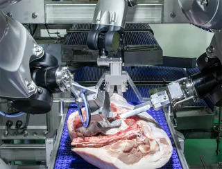 Hygienische Lebensmittelroboter für den Einsatz in der Verarbeitung von Fleisch und alternativen Proteinen