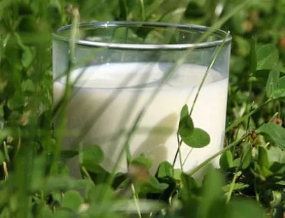 Milch von Arla