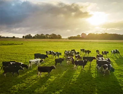 2024 wird das Nachhaltigkeitsprogramm von Arla auch in Deutschland gestartet